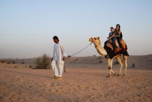 Camel Ride in Desert Safari Dubai