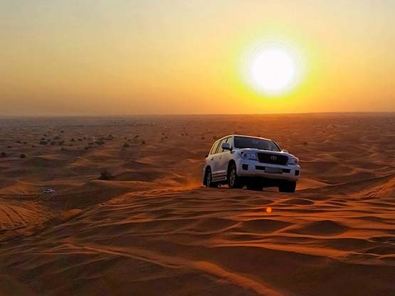 Morning Desert Safari